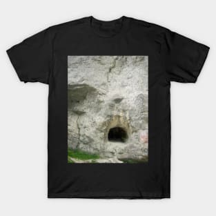 View near Tatarului Gorges, Bucegi mountains, Romania T-Shirt